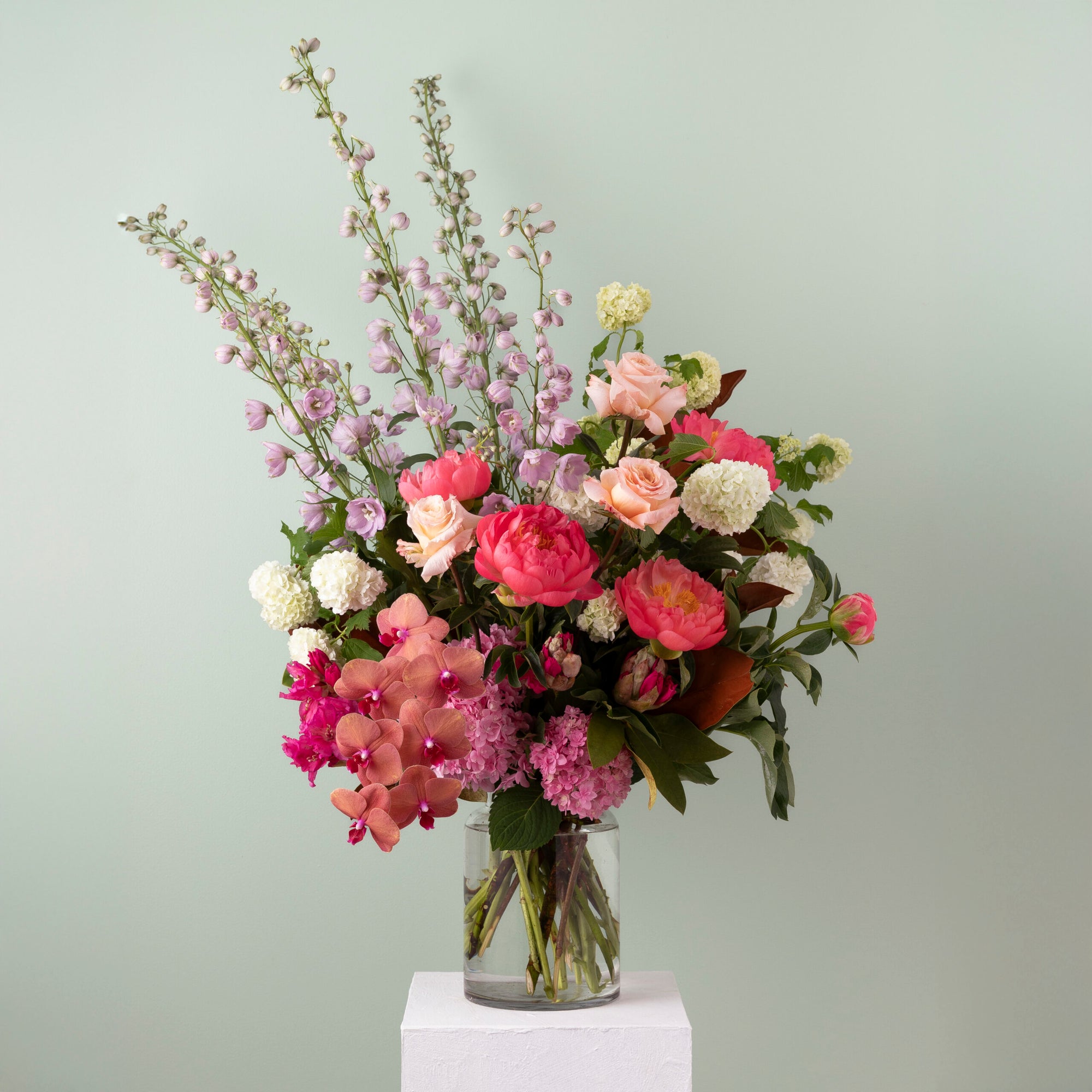 Spring Delight image 0