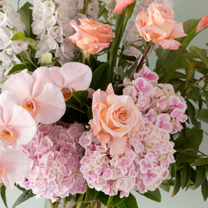 Generous image 1
