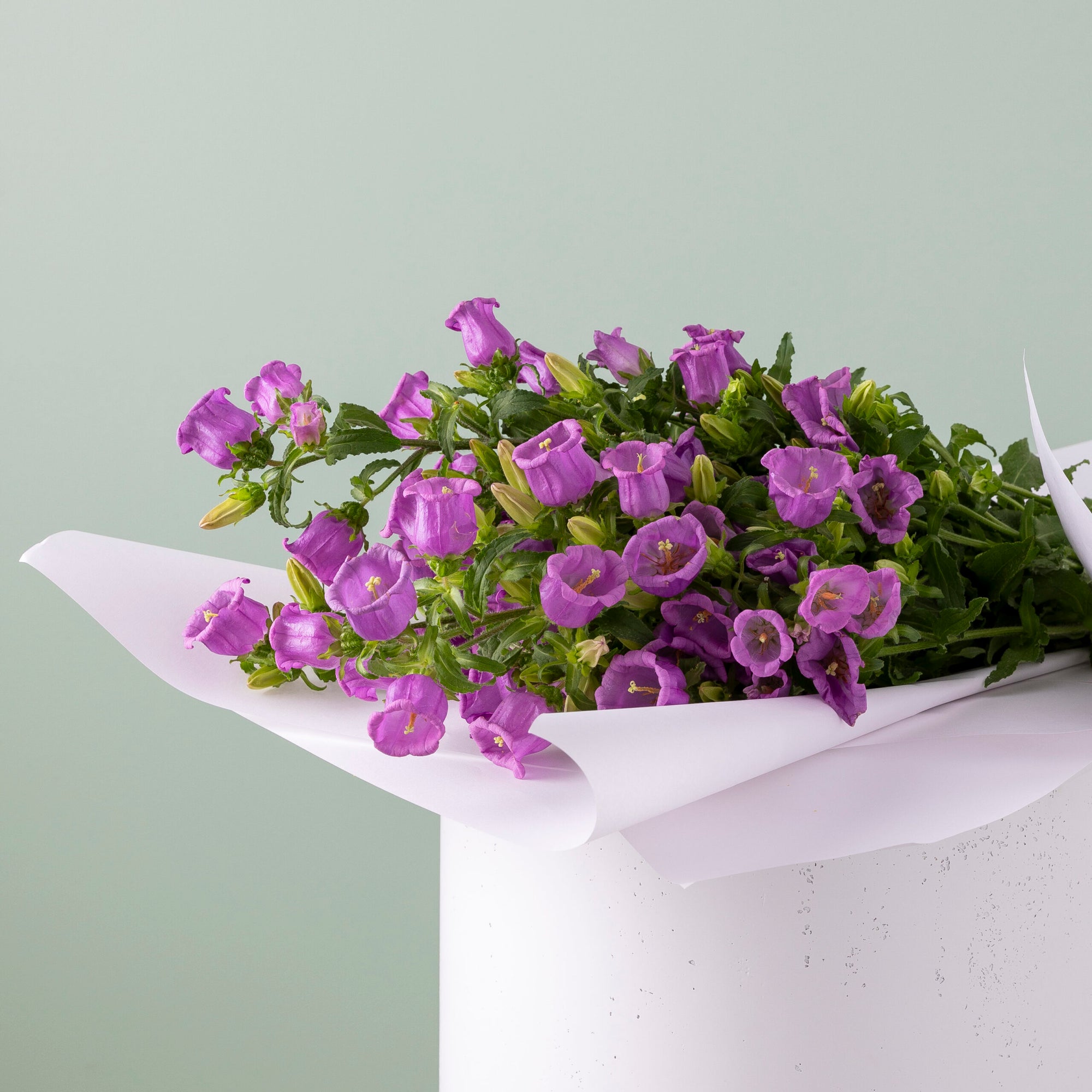 Market pick of the day image 2