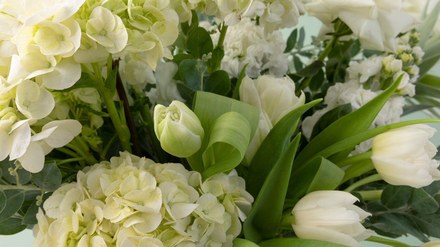 <p>Growing green every day</p>