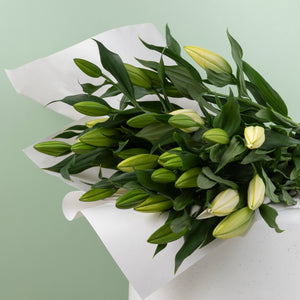 Oriental Lily image 0