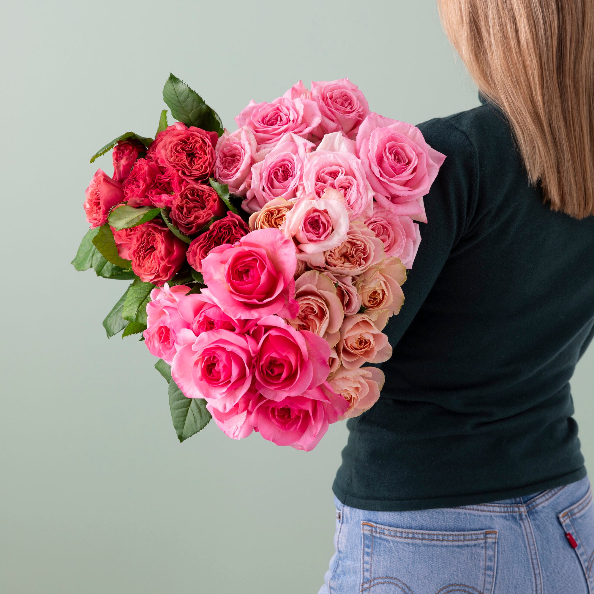 Rose image 0