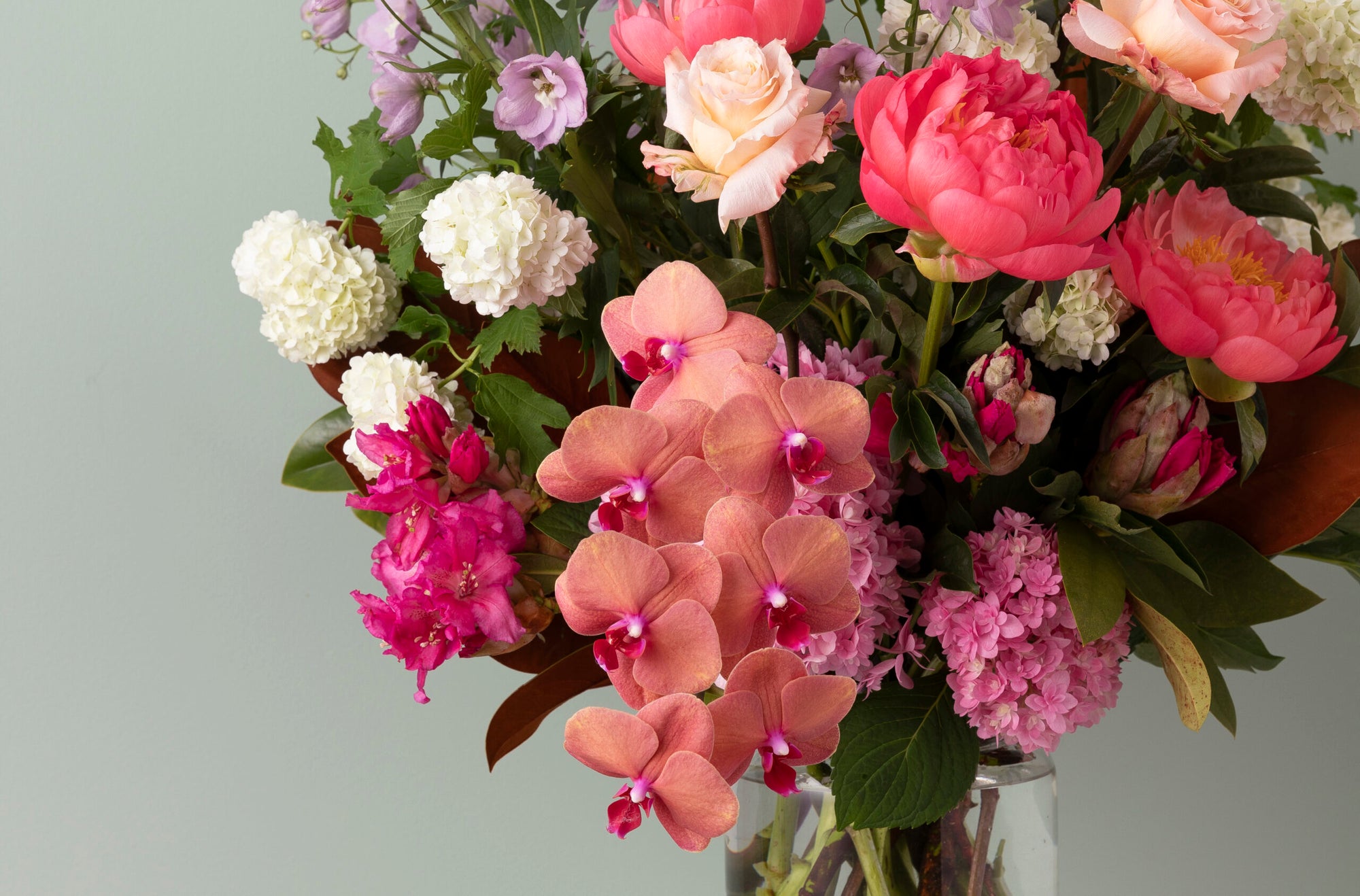 Spring Delight image 1