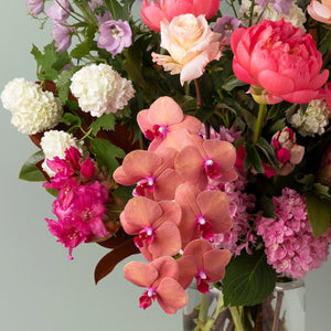 Spring Delight image 1