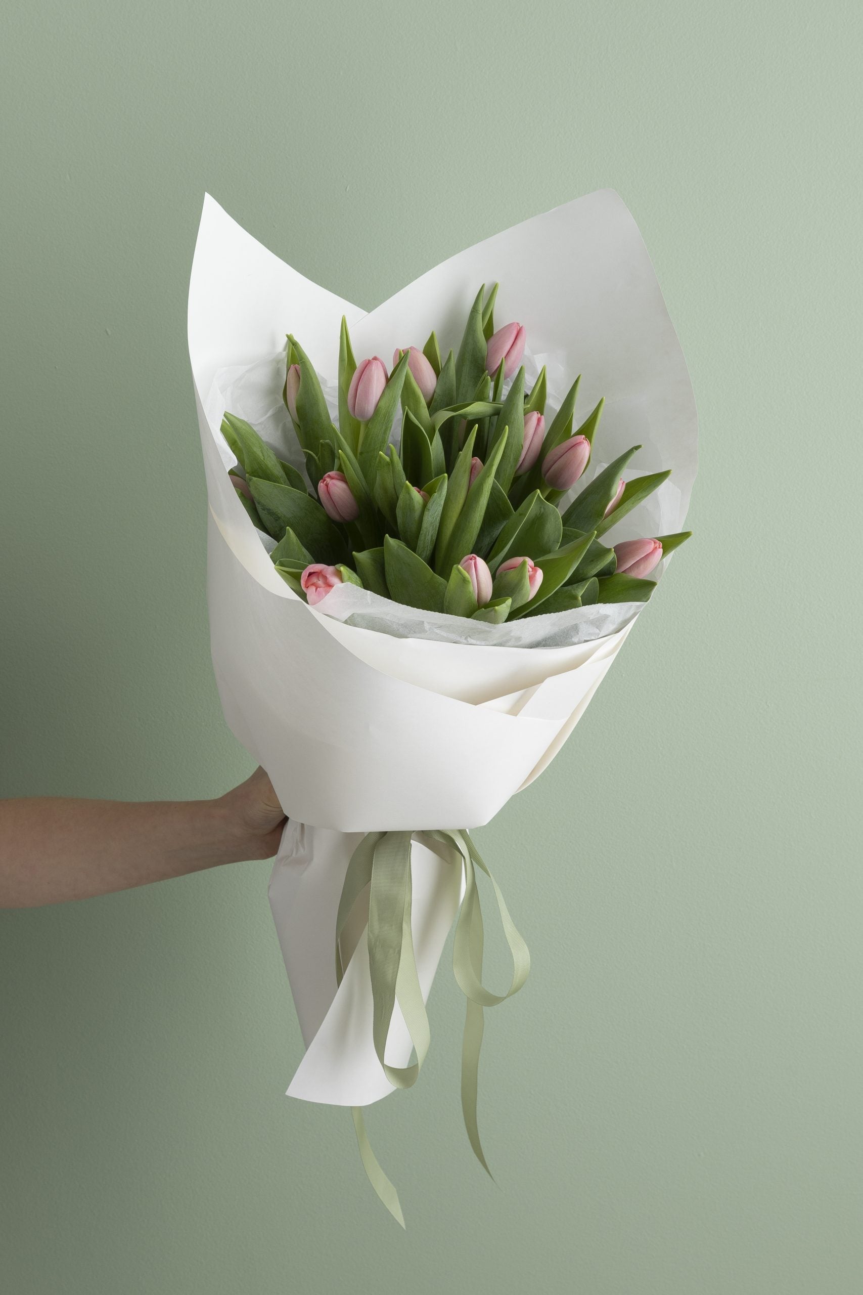 Tulip image 0