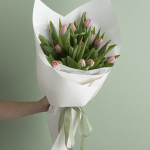 Tulip image 0