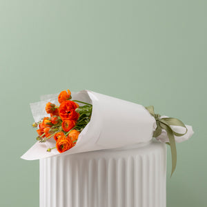 Market pick of the day image 1