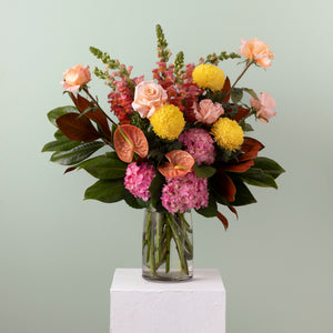 Vibrance image 0
